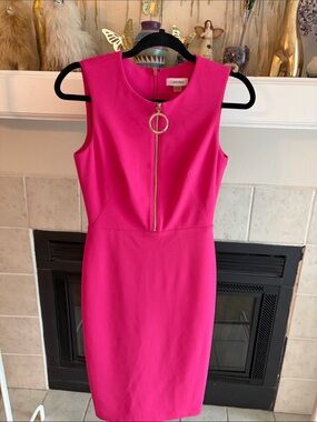 Calvin Klein Fuchsia Sleeveless Sheath Dress with Gold Ring Zip